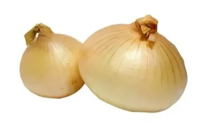 Cebolla blanca (5000kl)